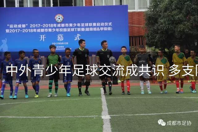 中外青少年足球交流成共识 多支队伍分享实战经验